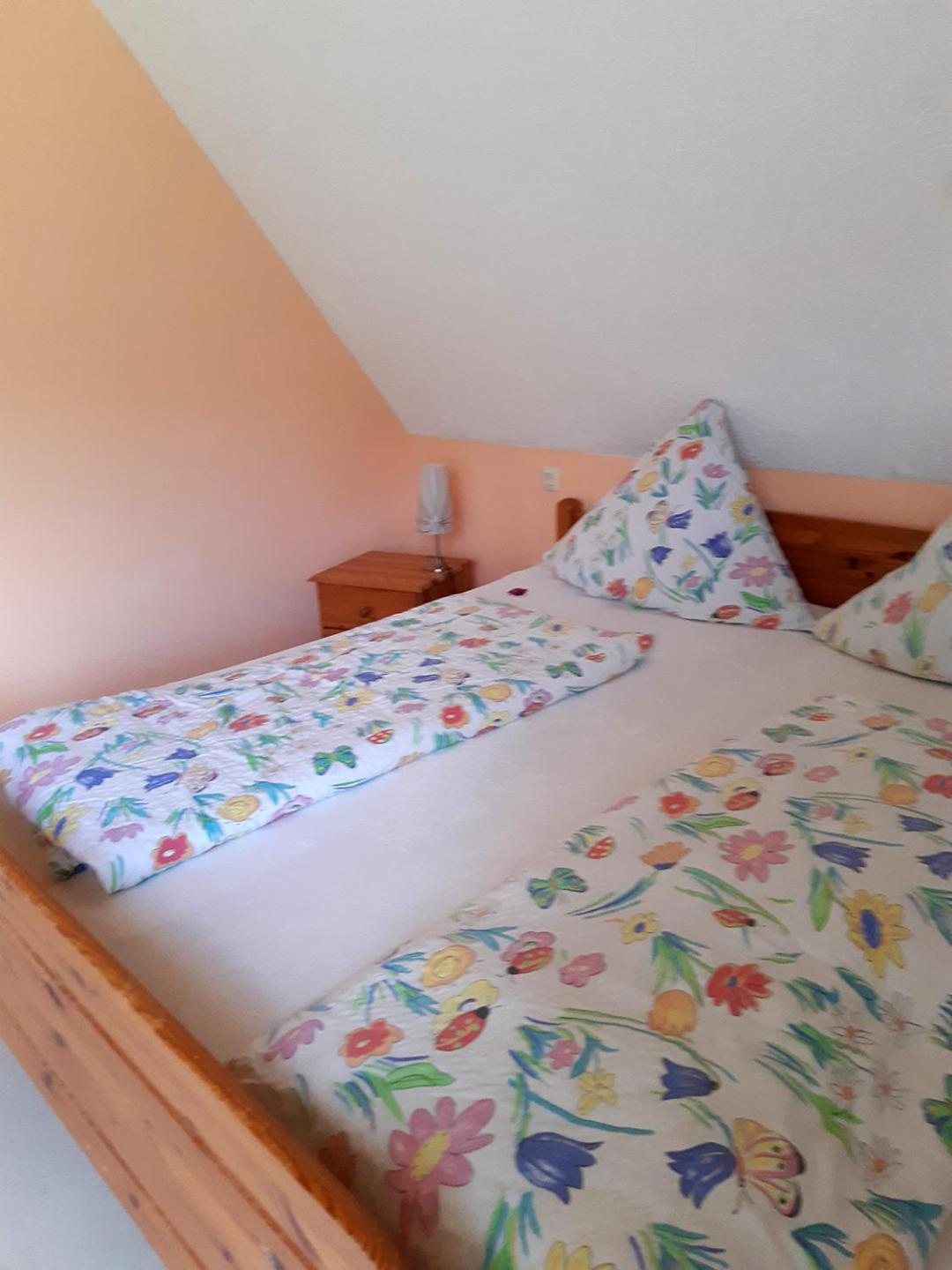 Ferienwohnung Bickel - Am Grossen Brombachsee 施帕尔特 外观 照片